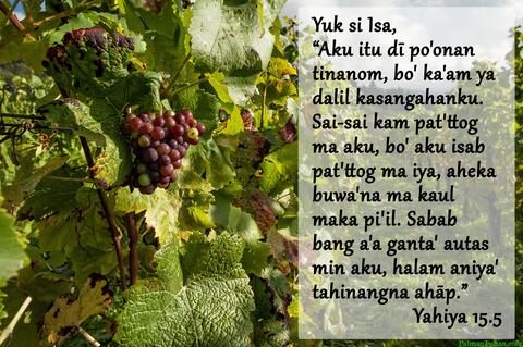 Yahiya 15.5